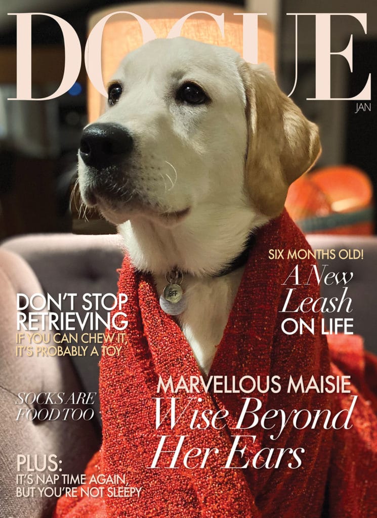 DOGUE Cover