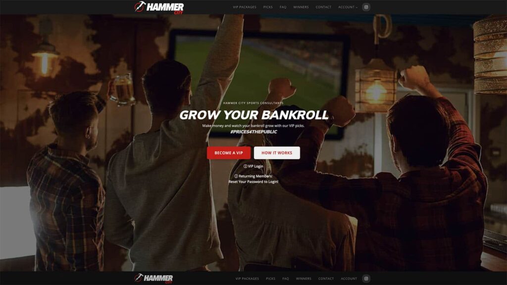 Device displaying web design for Hammer City Sports