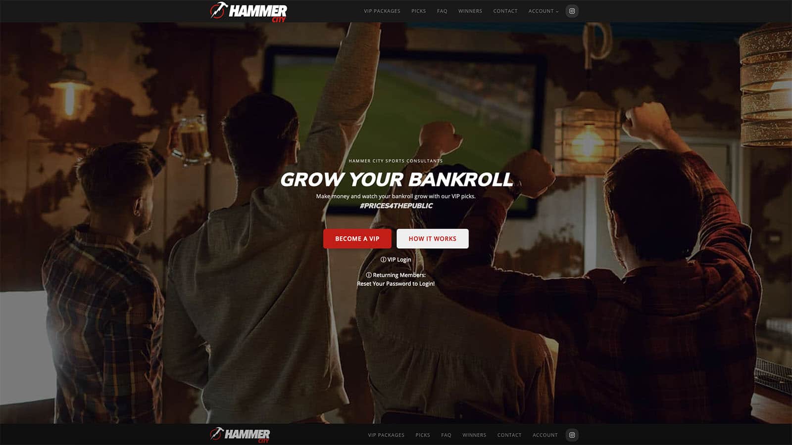 Device displaying the web design for Hammer City Sports