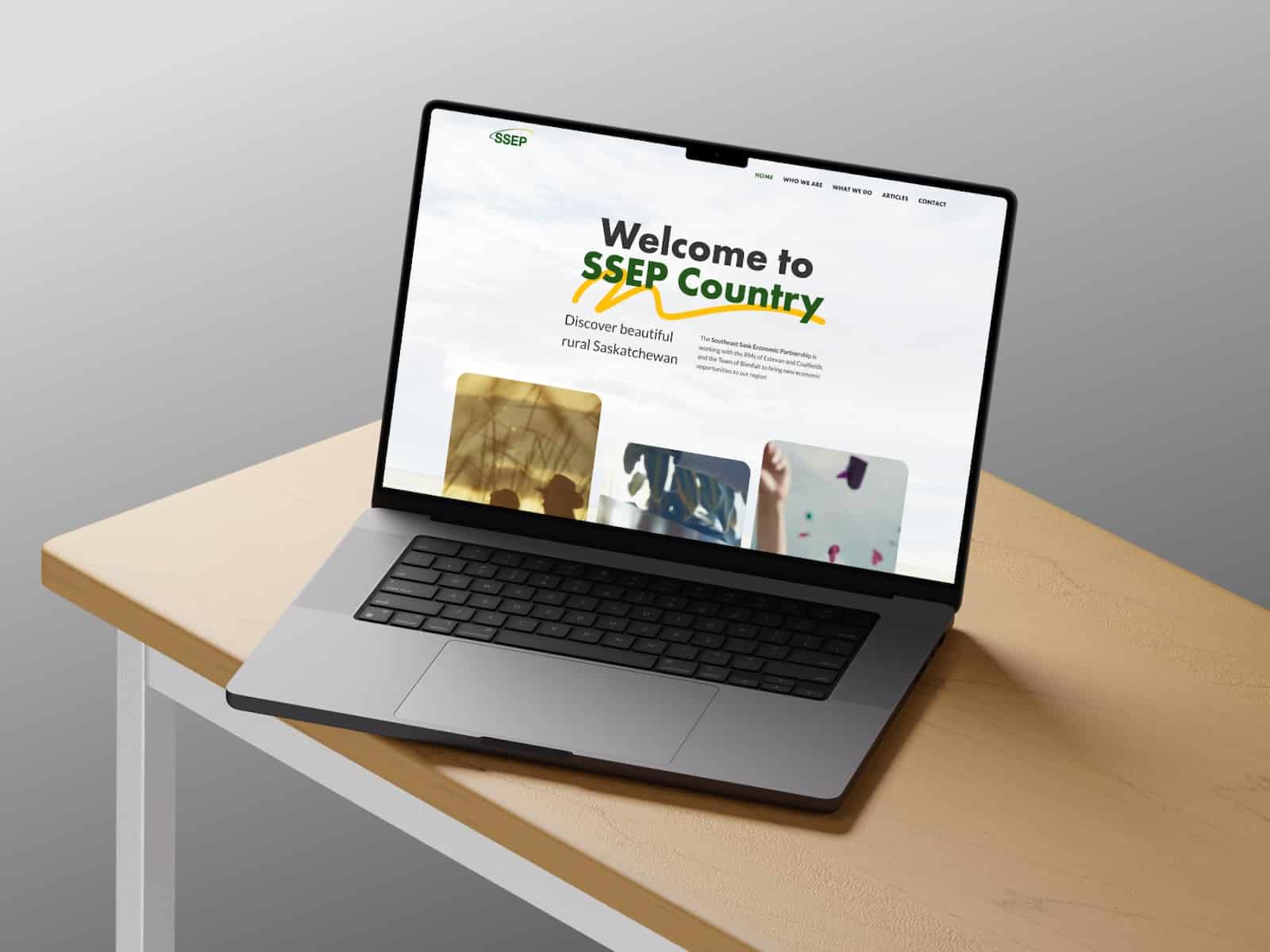 Image showcasing the SSEP website