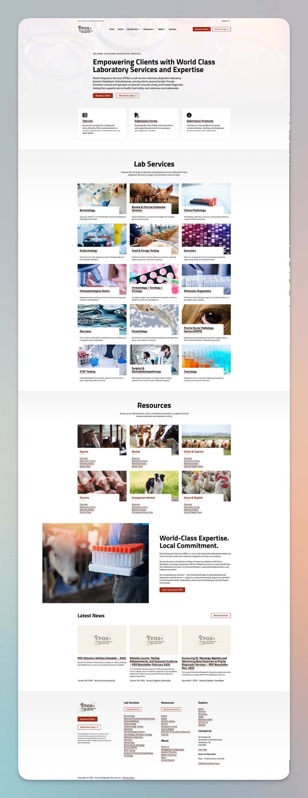 Screenshot of full height web design for PDS Inc